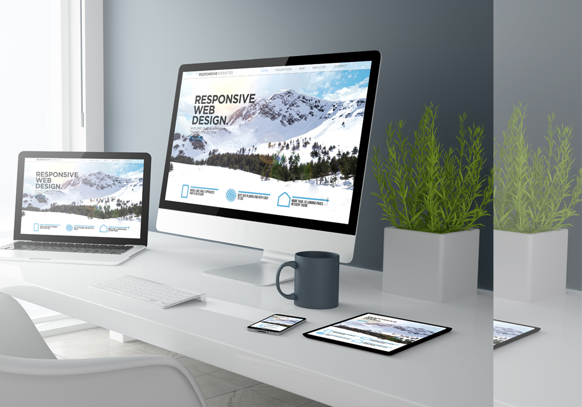 Web Development